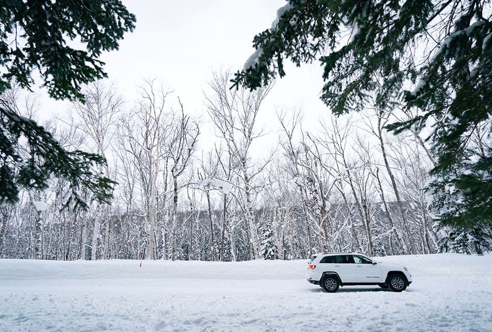 慣れない冬の運転には、雪道に強い車を選びたい。